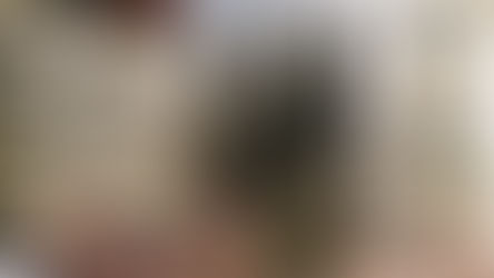 Prishtina's favorites activities in Spring