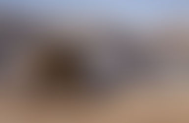 PDAC 2021: Chile presenta 33 proyectos, resaltando vínculo entre la minería y la economía verde