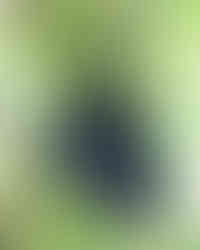 prastará mama, moja mamka a jej sestra