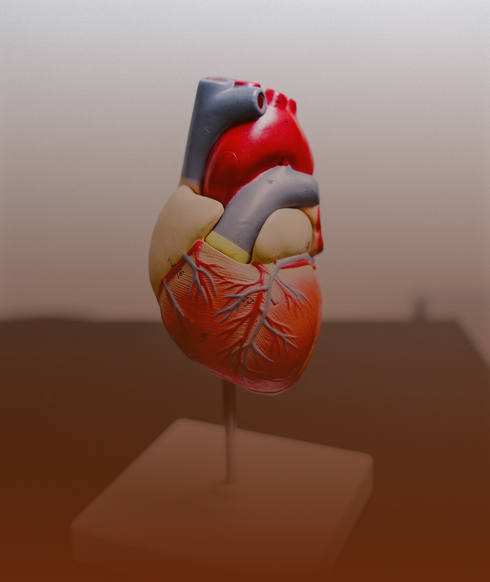 Artboard – 116.png
