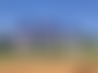 ÉXITO TOTAL LA SEGUNDA COPA PERIQUITOS ACAPULCO