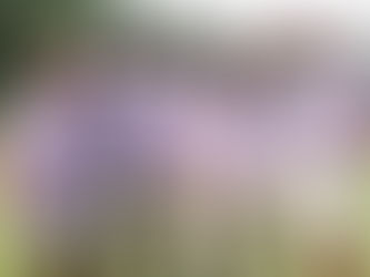 El Yucatán Country Club recibe al Jaguar Golf Open presented by Inmobilia