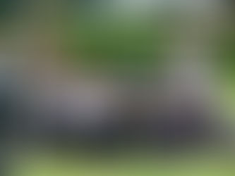 Como parte de la Acción Social, la Gira Profesional Mexicana llevó alegrÃa, valores y golf a la Escuela Justo Sierra