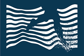 logo_GKT_Plan de travail 1 copie 2.png