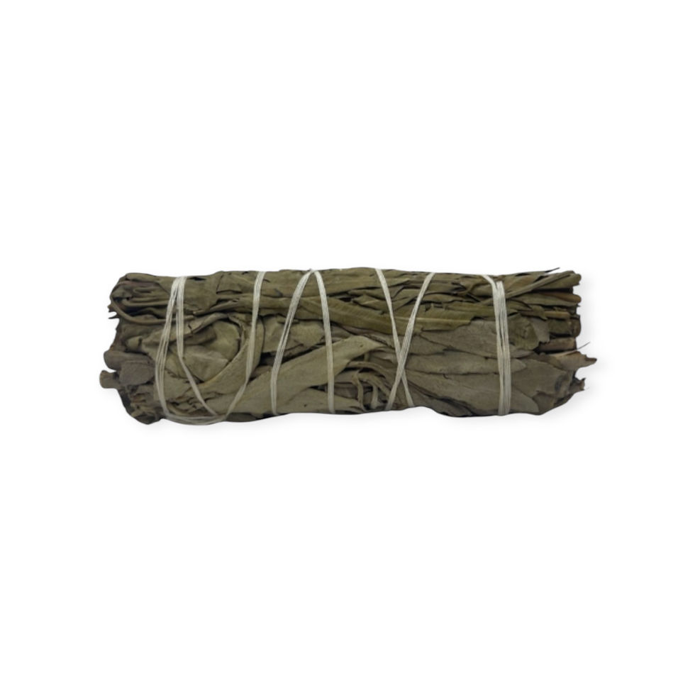 White Sage & Schinus Molle