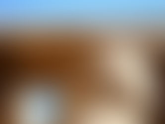 Por entre las columnas de Amón.