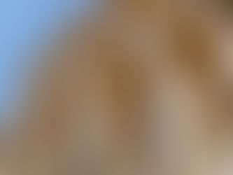 Viajando por las raíces del Cristianismo.