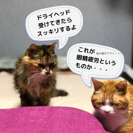 11月2日（木）