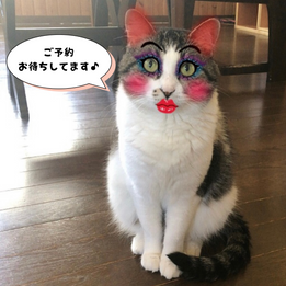 11月4日（土）