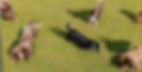 Screenshot_20250516_215902_Photoroom_edited.jpg