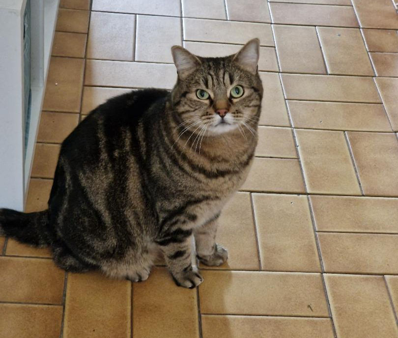 Max