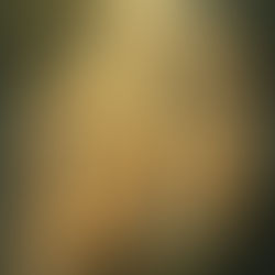 Ein wenig Klarheit zum Thema: Totenfeier, Reformationstag, Allerheiligen, Samhain, satanischer Missbrauch...