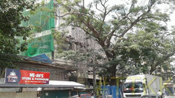 17309069_1426289560791542_2506897546559003113_n