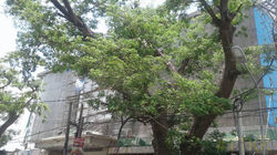 17991049_1473778956042602_1115869172211688595_n