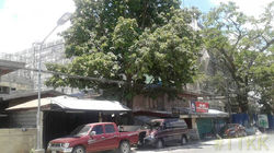 17798952_1464534646967033_8984378012333776209_n