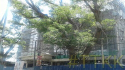 17352367_1432966570123841_239315850187856076_n