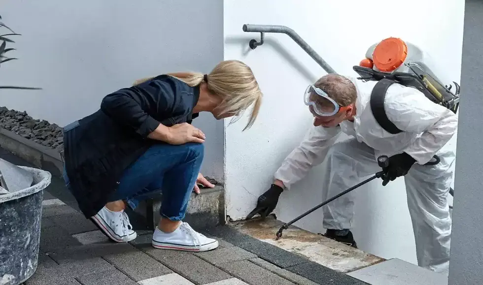 pest-control-essex-and-east-london-2.webp