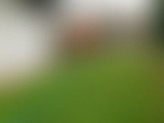 Treatment Plant Service New Romney