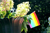 Rainbow flag and flowers_edited.jpg