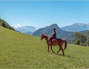 Cheval & Terrain Naturel : Pourquoi les sols irréguliers réveillent les muscles profonds
