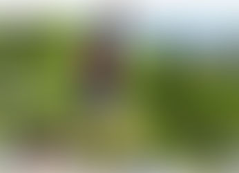 Sol irrégulier, muscles réveillés : la science de la proprioception naturelle