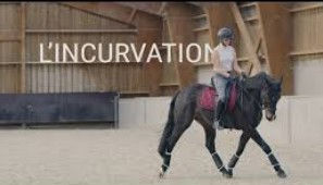 “L’incurvation, ce n’est pas juste plier l’encolure.”