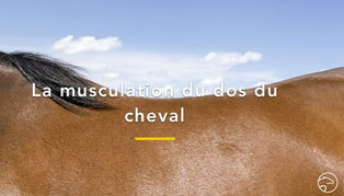 cheval