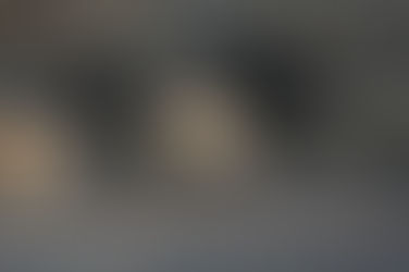 SANGLIERS : autorisation tirs de jour et de nuit