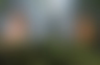 PRÉVENTION RISQUE INCENDIE de forêts et végétaux