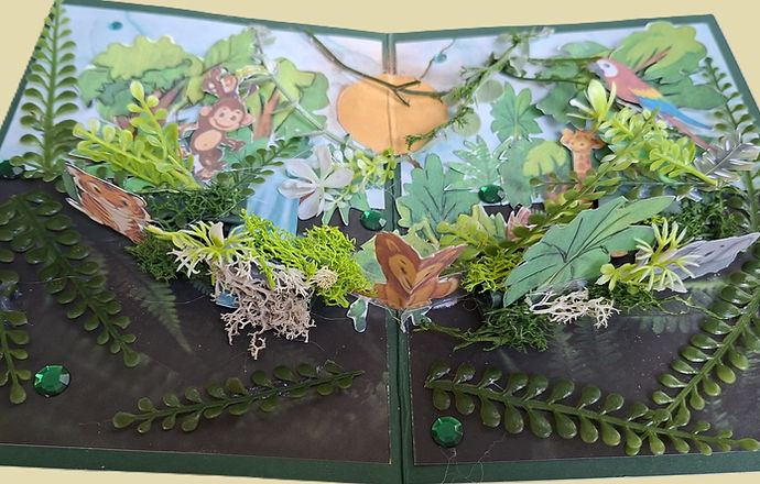 carte intérieur jungle.jpg
