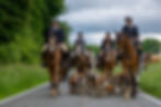 timohaas_fotografie_DSC_8785_L (max. 3000px) _efff1414_