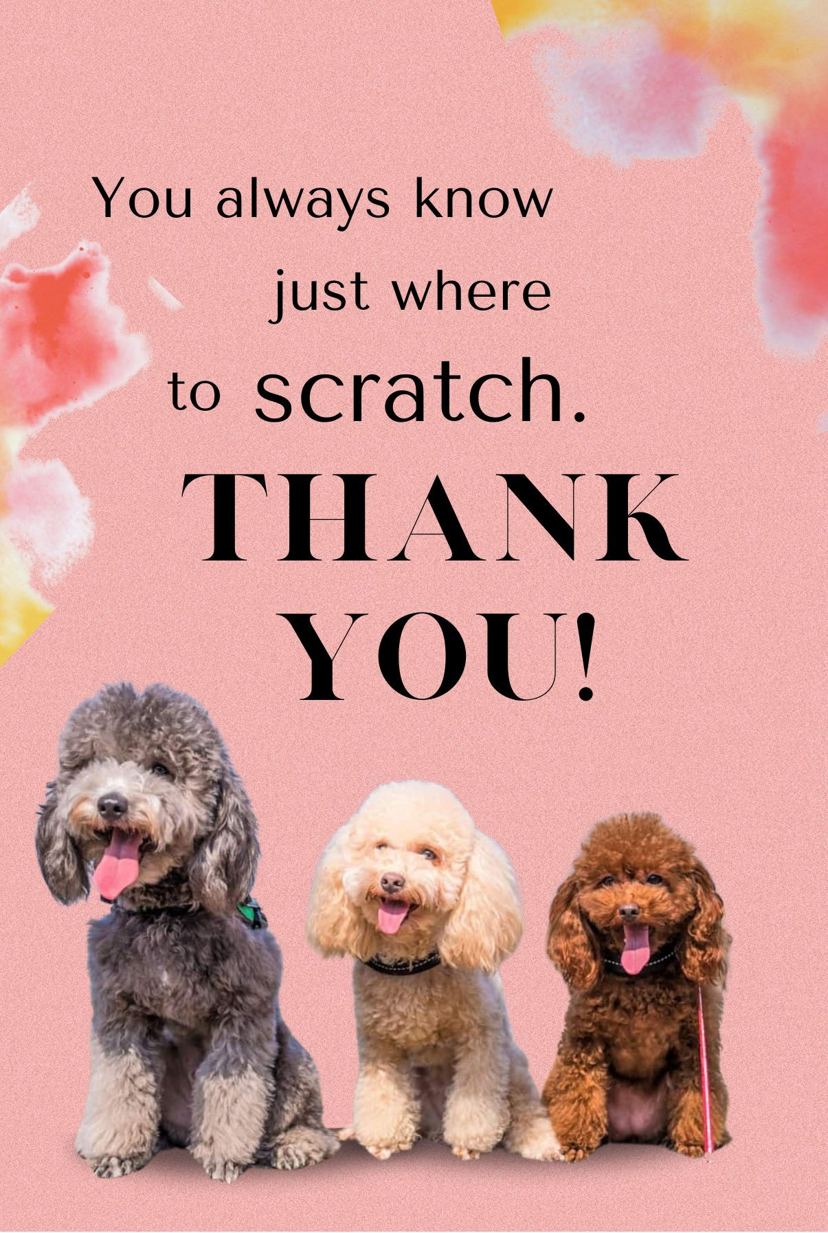 Thank you - Scratch