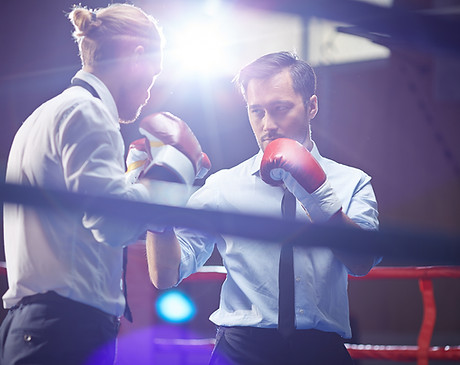 Formal Boxing