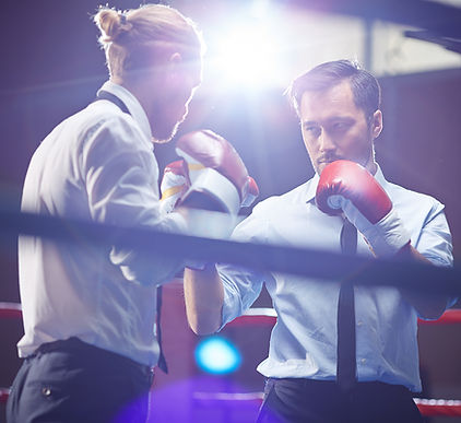 Formal Boxing