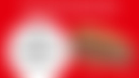 Dönerpreisbremse nur mit der SPD!