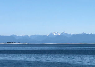 Lack of Leadership in Parksville