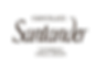logo_santander_Solo-removebg-preview