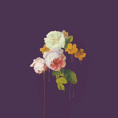 Jukkakettunen_bleeding peonies_LR.jpg