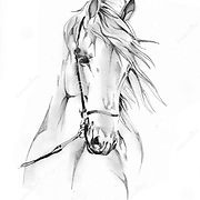 dessin-au-crayon-à-main-levée-de-tête-ch