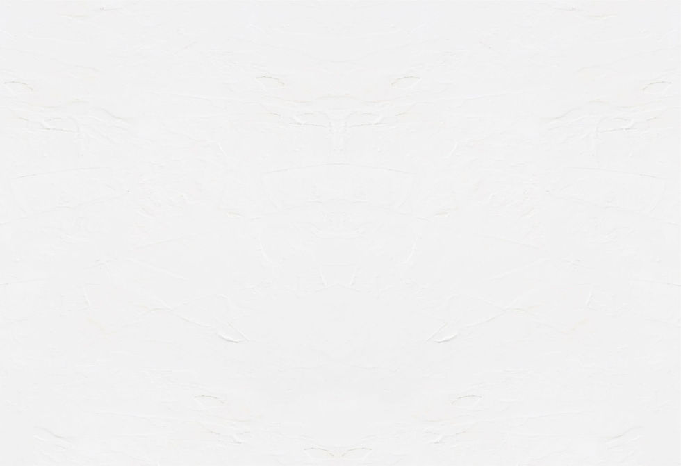 fundo site.jpg