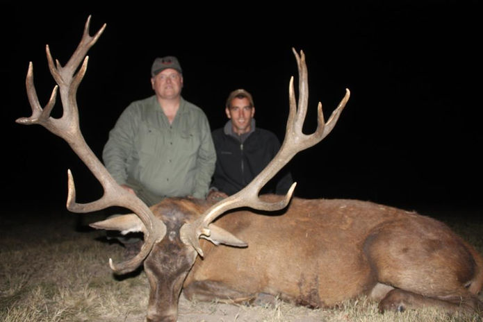 Great Stag hunted in Argentina