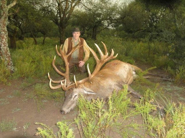 Argentina Red Stag Hunt