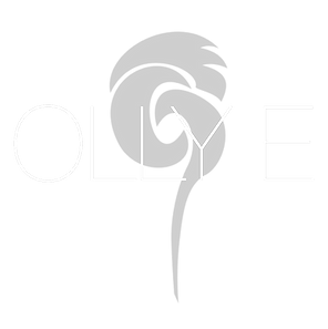 ollyelogowords_edited.png