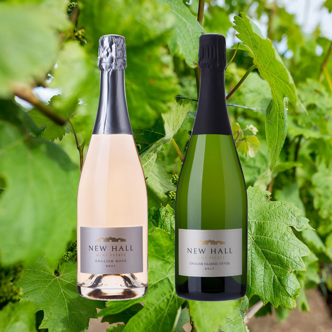 Double the Fizz Double the Fun