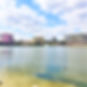 Website background #2.jpg