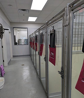 Colorado Valley Vet Boarding (4).JPG