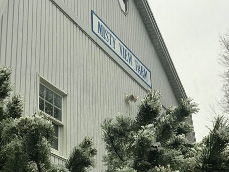 Adventures in January 