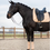 Thumbnail: PS of Sweden Dressage Pad, Sand Ruffle (Full)