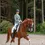 Thumbnail: Mrs. Ros Show Jacket Green - Lavender Fields