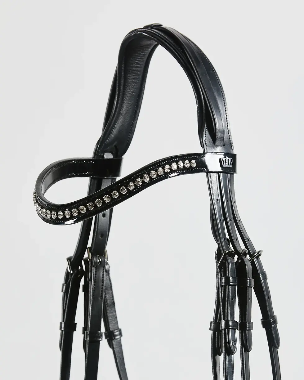 Thumbnail: Kingsley Double Bridle Patent